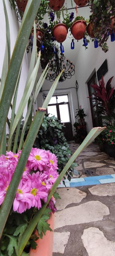 El Jardin De La Abuela Hotel Queretaro Bagian luar foto