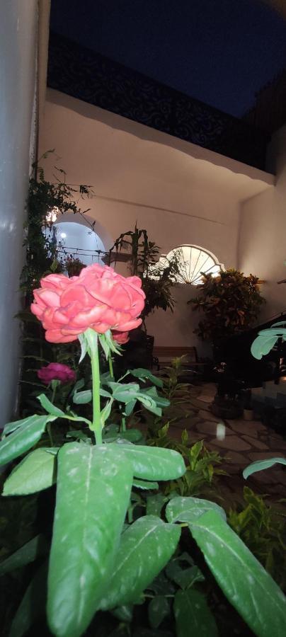 El Jardin De La Abuela Hotel Queretaro Bagian luar foto